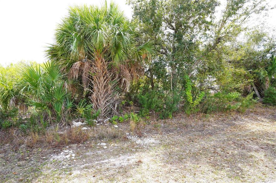4232 Elvington Rd. Port Charlotte, FL. This is a vacant land on a 9,999 sq ft or 0.2295 acre lot. Measures: 80x125x80x125. Great location. Build your dream home or great investment. Close International and national Airports: Ft. Myers, Sarasota, and a local airport in Punta Gorda. Hobbies, this home is near the Best fishing in the World for Tarpon, Red and Snook fishing or simple boating of all kinds. Local beaches within minutes to biking and many outdoor venues playing music daily and nightly. Local spring training Atlanta Braves and Tampa Bay Rays baseball in the winter months.