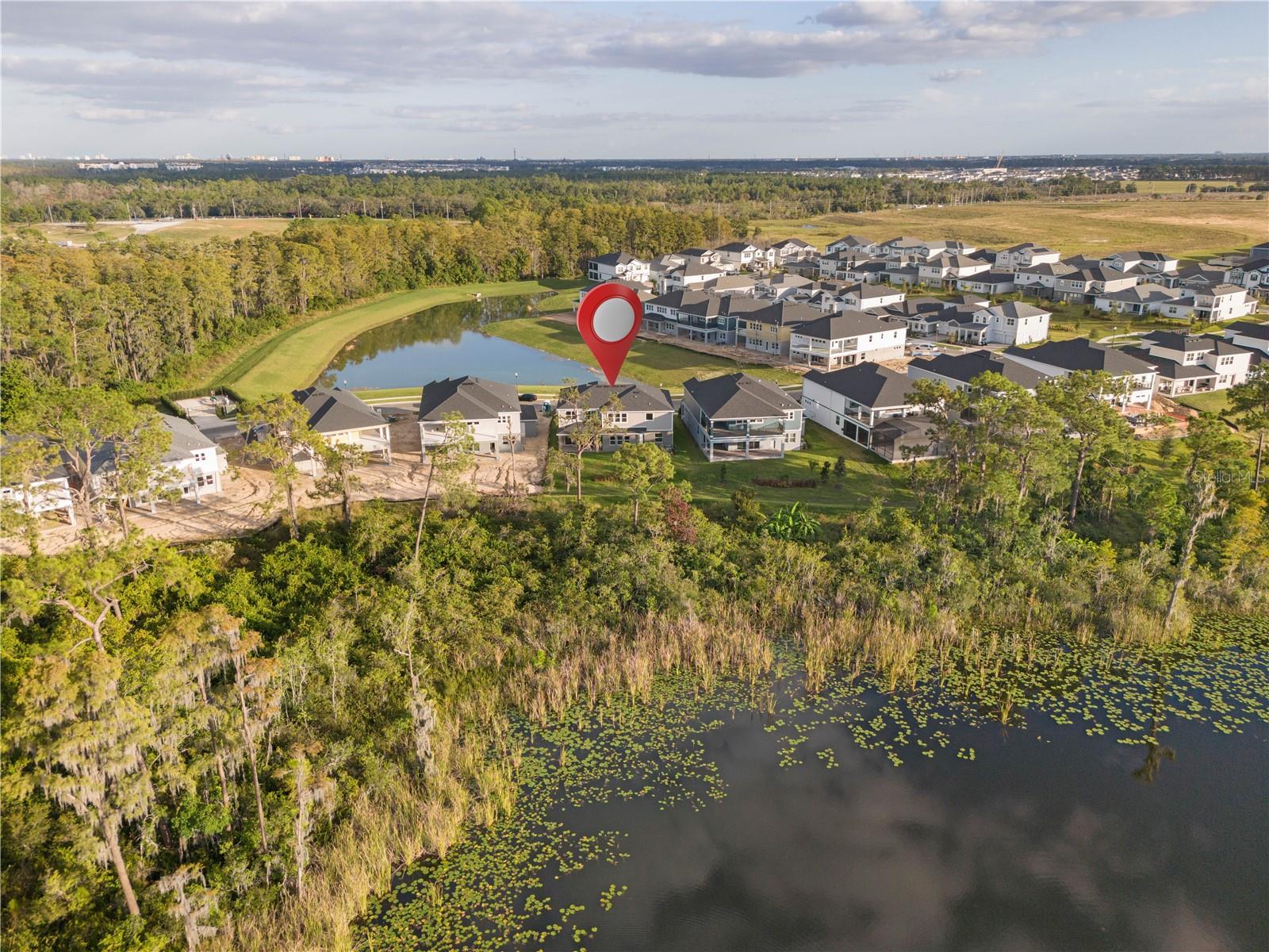 17384 GLOSSY POMELO WAY