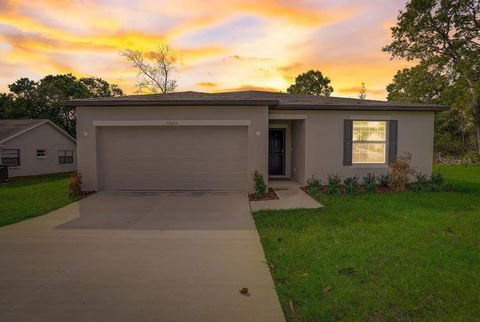 A home in MOUNT DORA