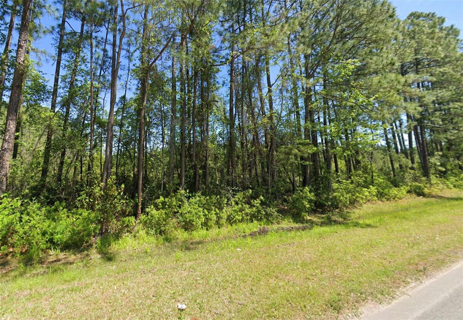 4739 COUNTY ROAD 218 ROAD