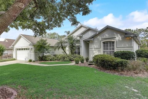 A home in MOUNT DORA