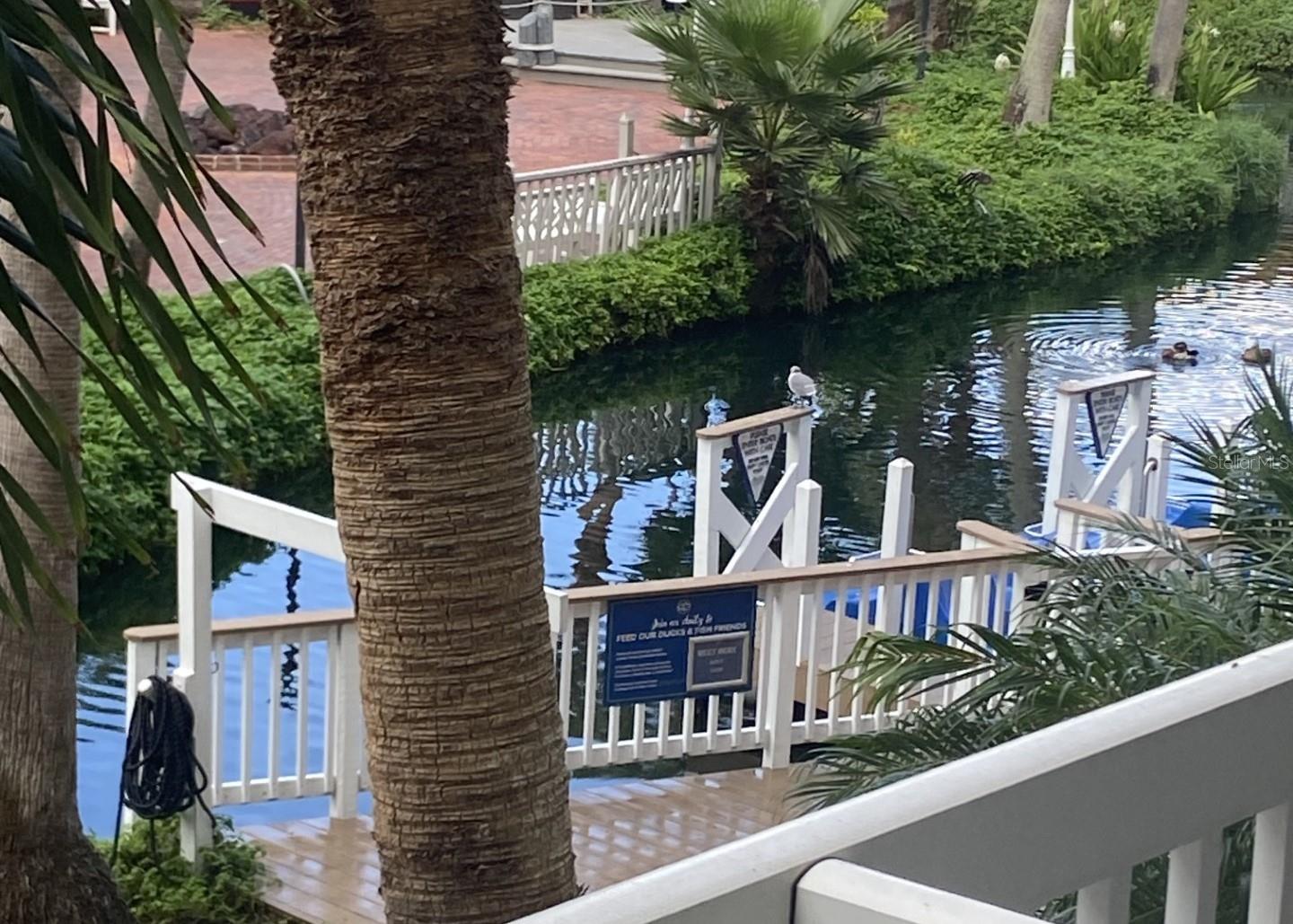 JACARANDA BEACH VILLAS CONDO - Residential