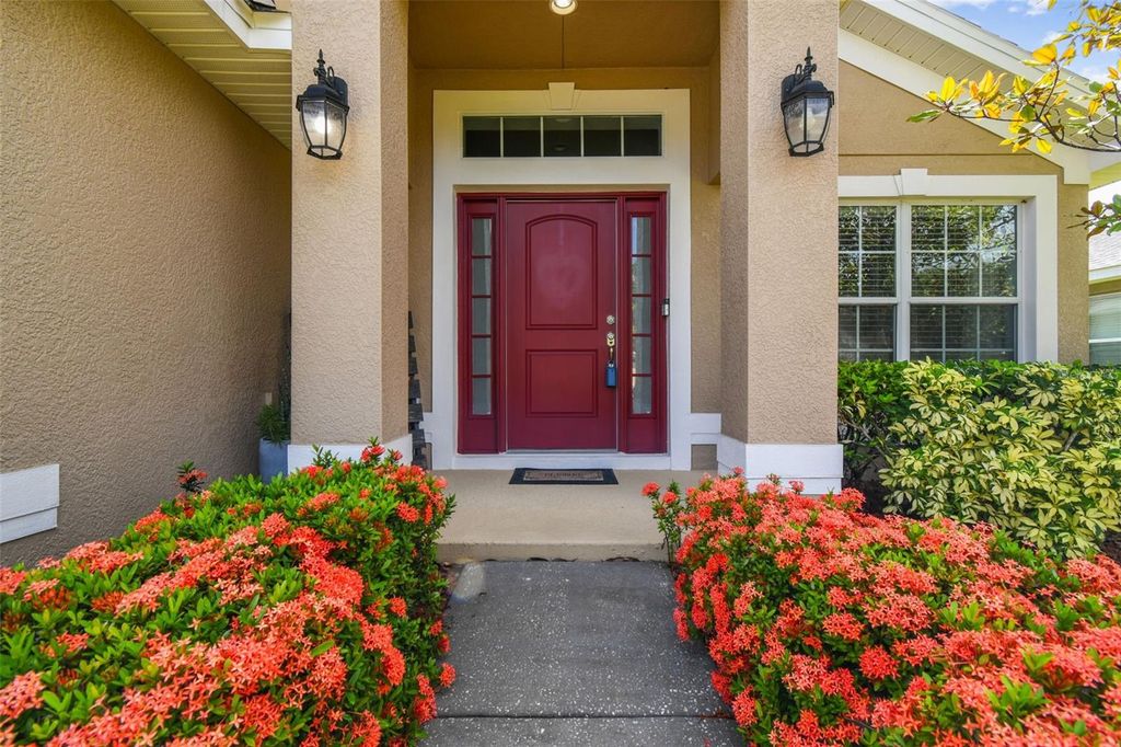 Photo of 9638 Jaybird Lane, Land O Lakes, FL 34638 (MLS # TB8413904)