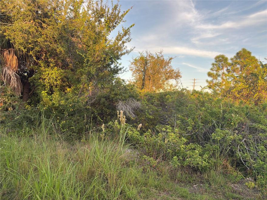 Build your dream home on this amazing, well-treed lot situated in Florida'a Charlotte County's most desirable area.  Marinas and canals with gulf access nearby.  NO HOA or CDD fees. Choose your builder or contract it out yourself and save $$$.  This community is near the famous Rotunda golf club and many more amenities!