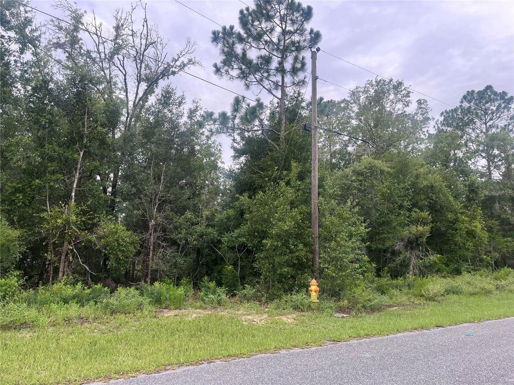 Photo of 11052 N Iron Drive, Citrus Springs, FL 34434 (MLS # TB8533339)