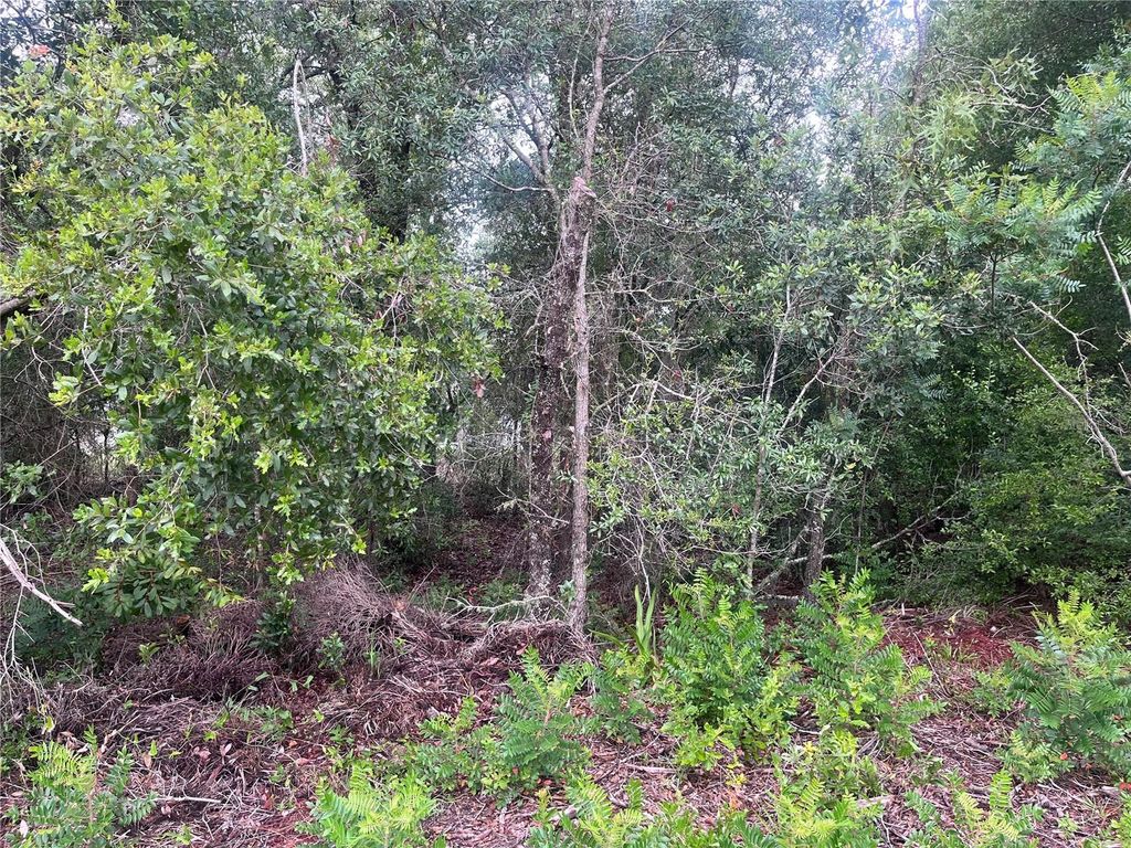 Photo of 11052 N Iron Drive, Citrus Springs, FL 34434 (MLS # TB8533339)