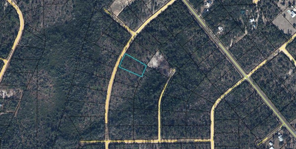 TEQUESTA DR, MARIANNA, FL 32448 - Image fa8b01c4348dd81e5250ba176405fe4e/745529319
