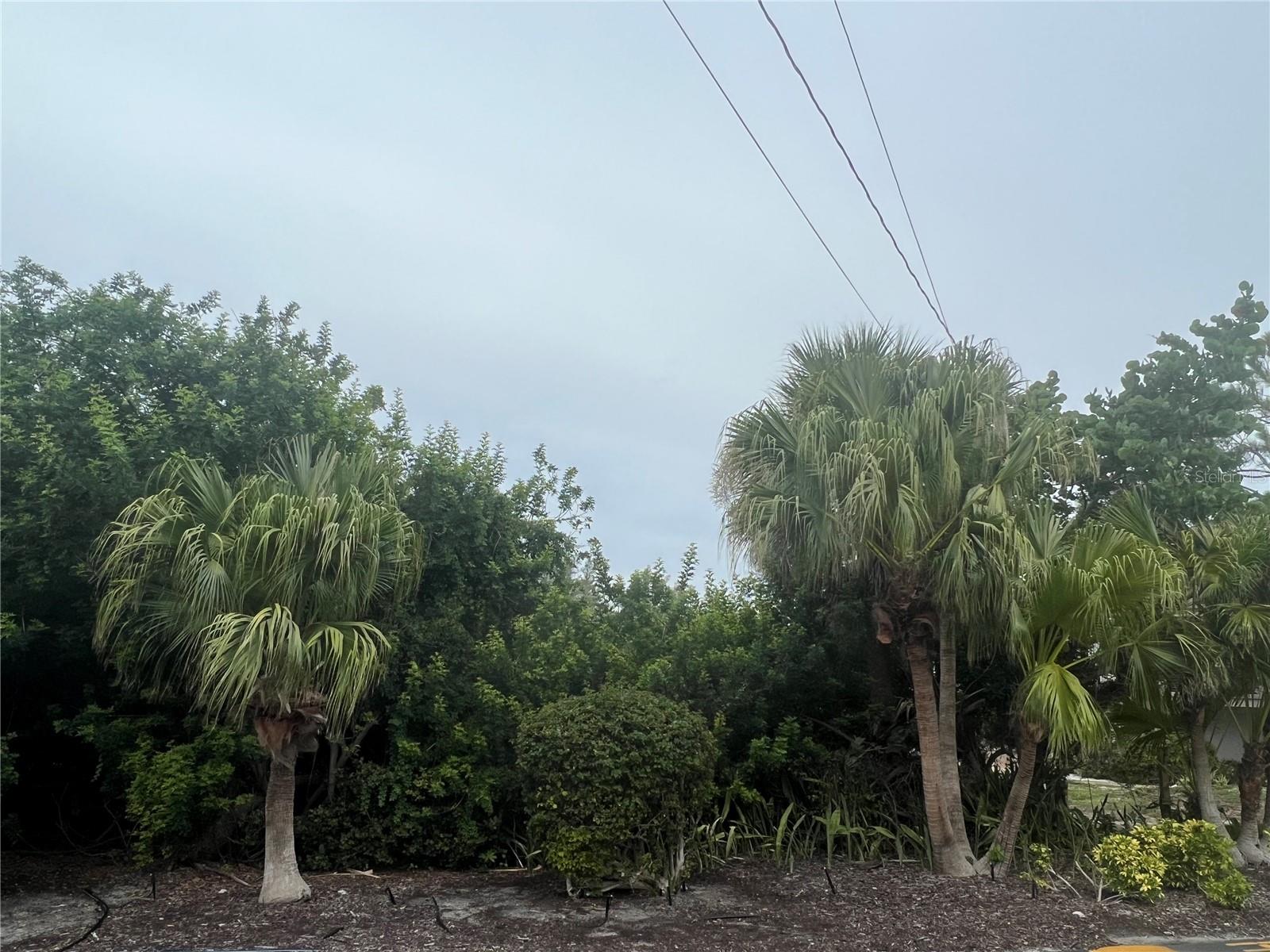 9238 MIDNIGHT PASS ROAD
