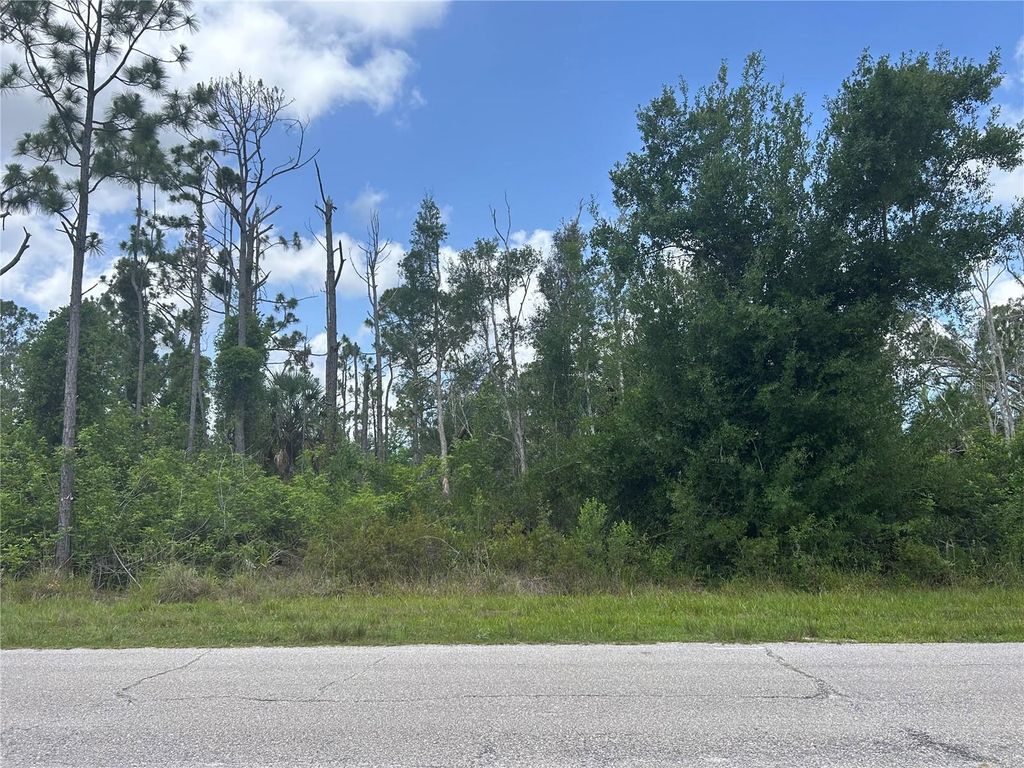 Photo of 14309 Sanilac Avenue, Port Charlotte, FL 33981 (MLS # D6142681)