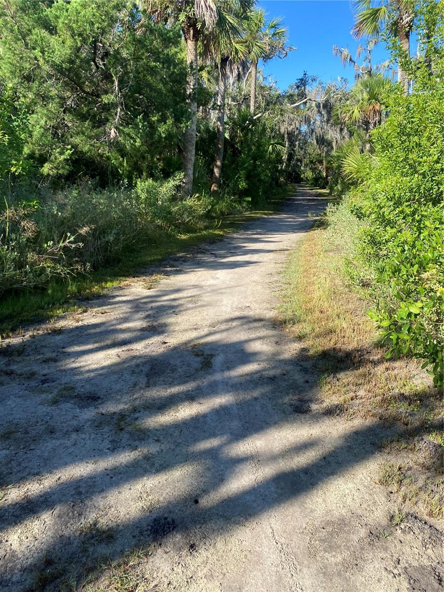 CEDAR DUNES CONDO PH 01-05 - Residential Lease