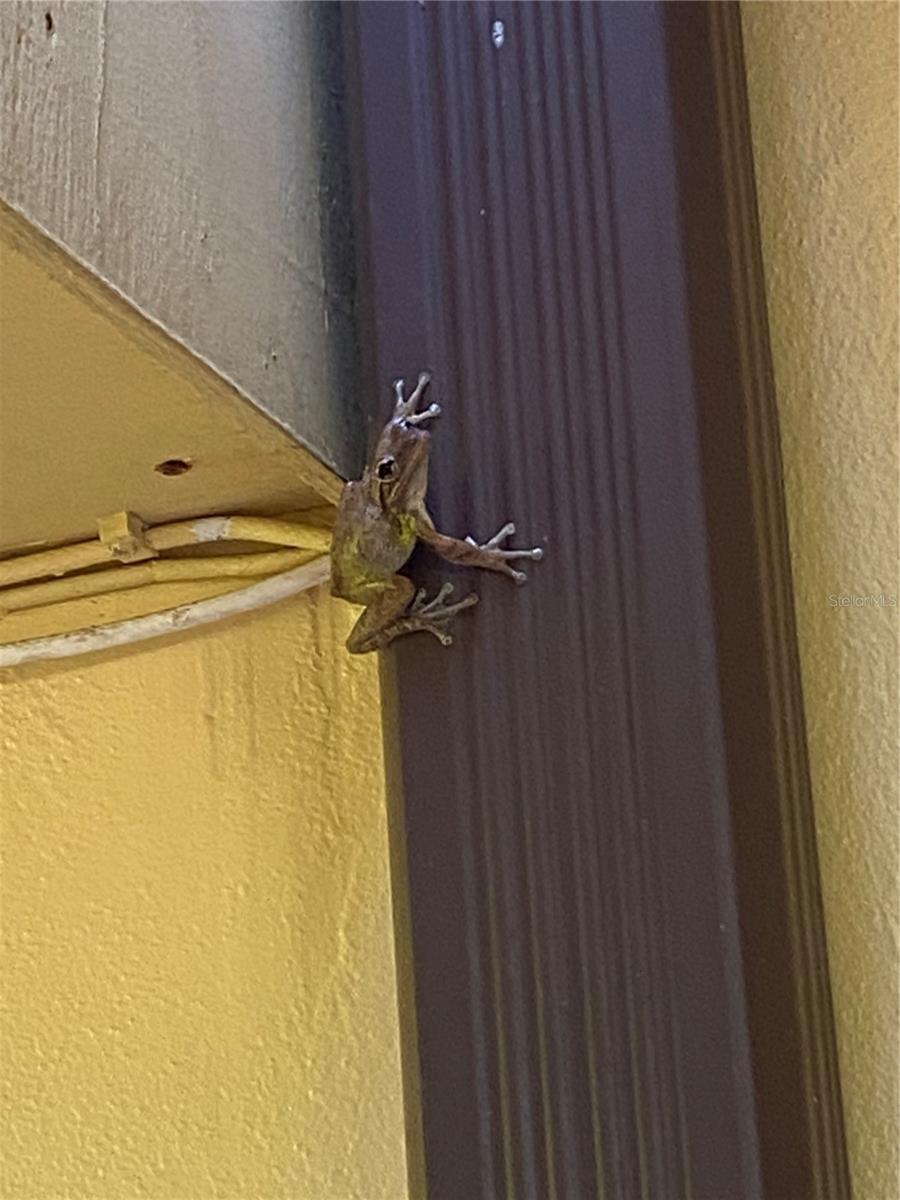 CEDAR DUNES CONDO PH 01-05 - Residential Lease