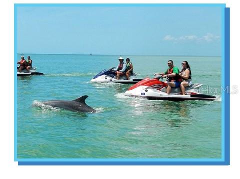 CRYSTAL BEACH REV - Residential