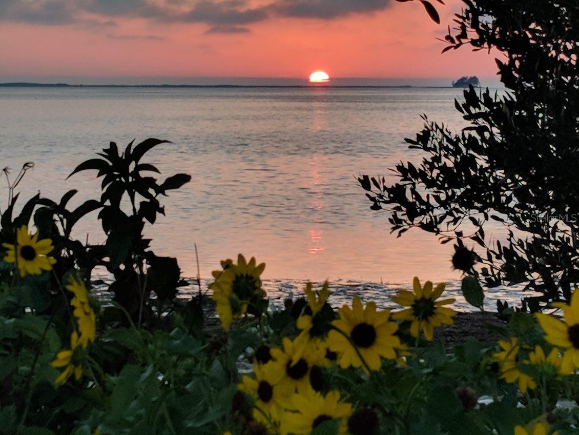 CRYSTAL BEACH REV - Residential