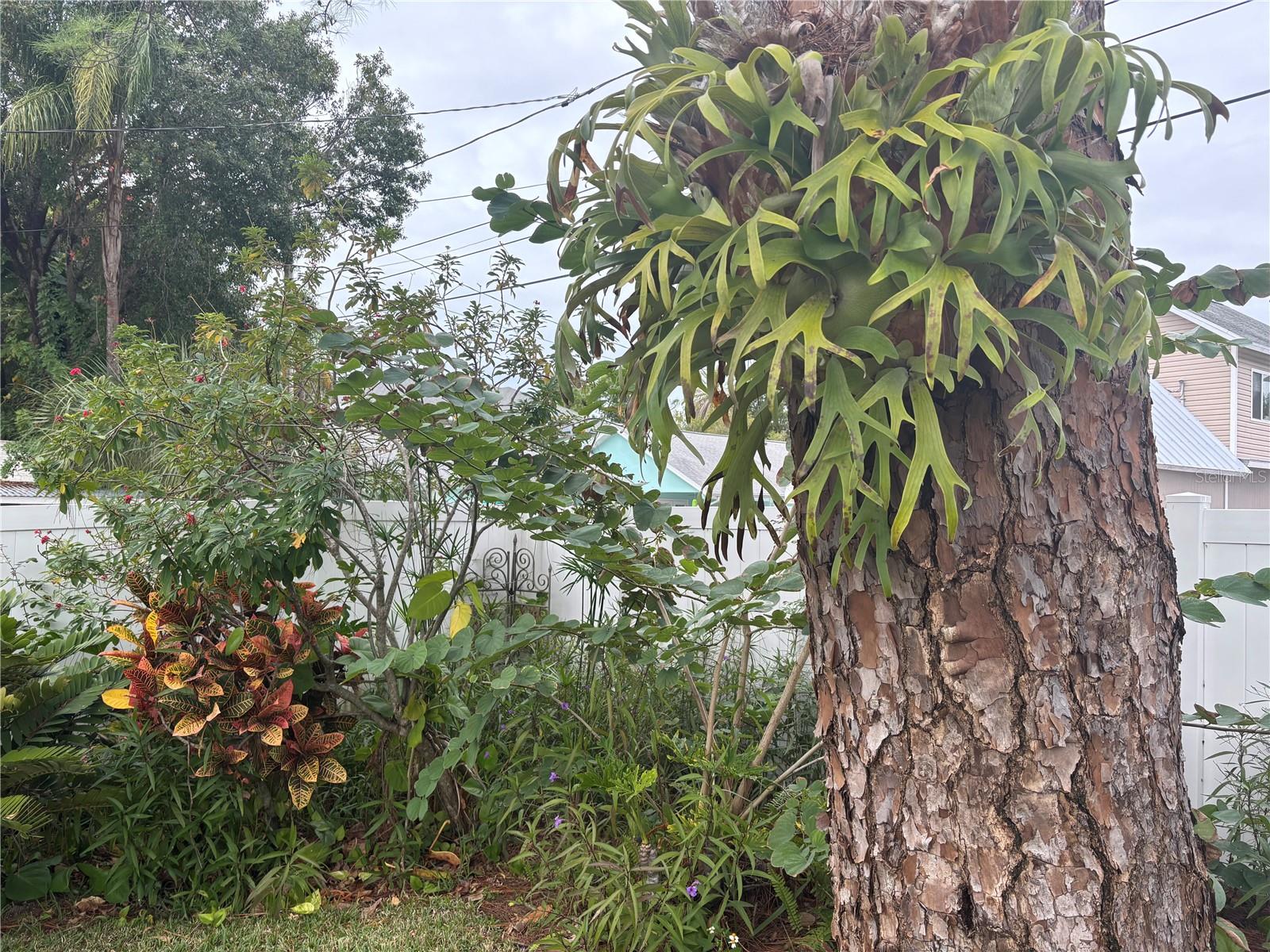 CRYSTAL BEACH REV - Residential