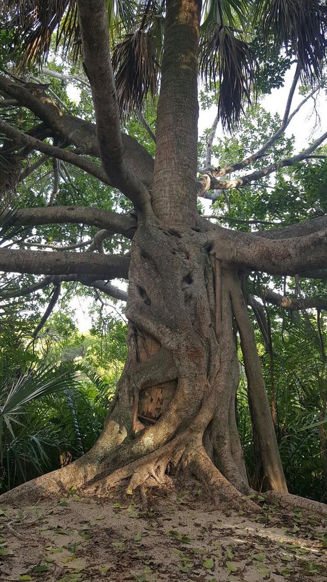 CRYSTAL BEACH REV - Residential