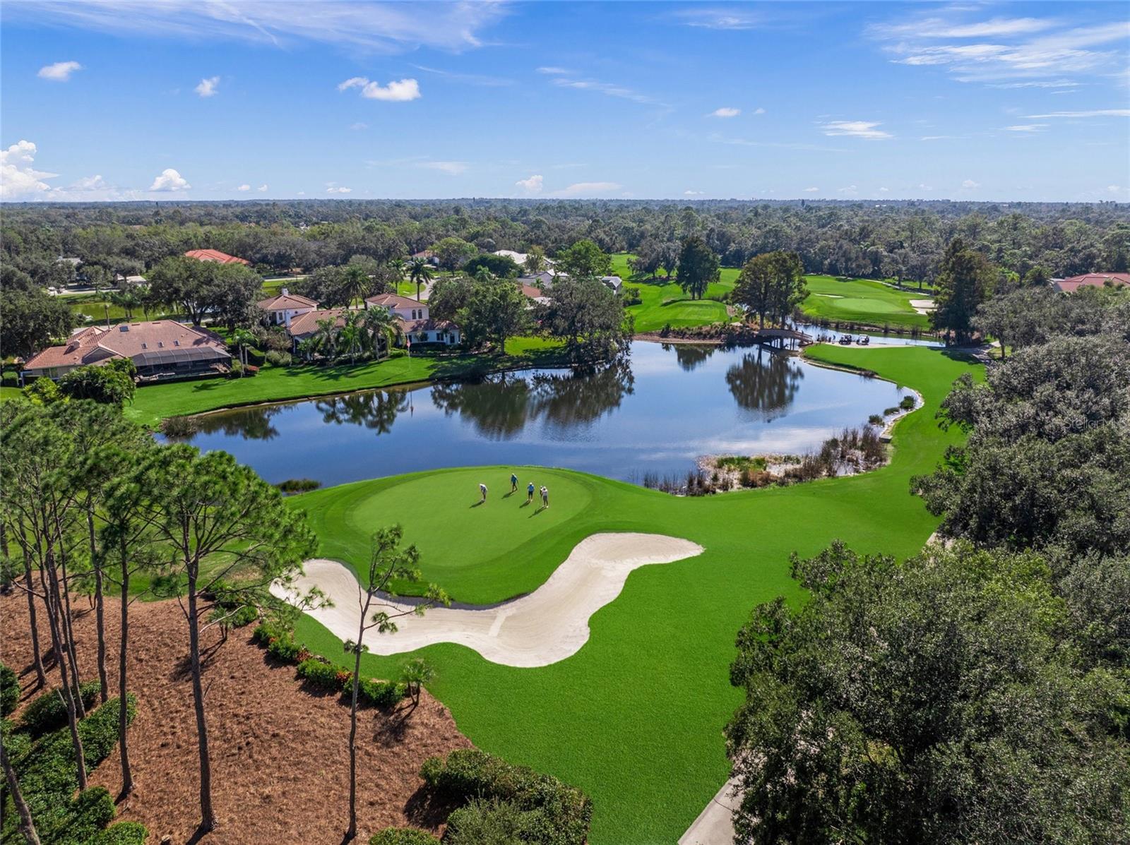 LAUREL OAK ESTATES - Residential