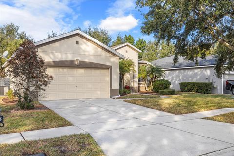 Photo of 10903 Holly Cone Drive, Riverview, FL 33569 (MLS # TB8456335)