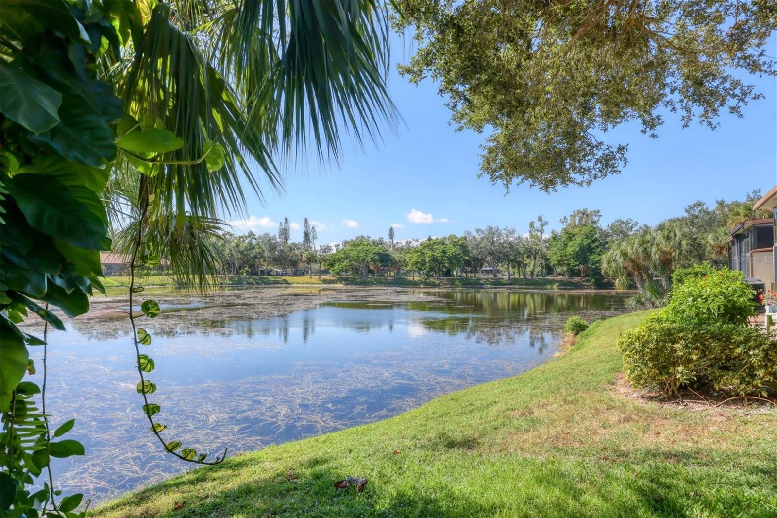 FORTY THREE WEST PALMS - Residential