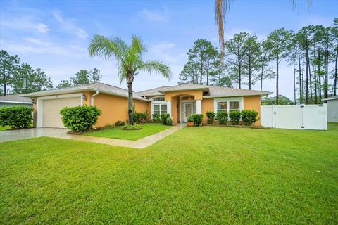 A home in PALM COAST