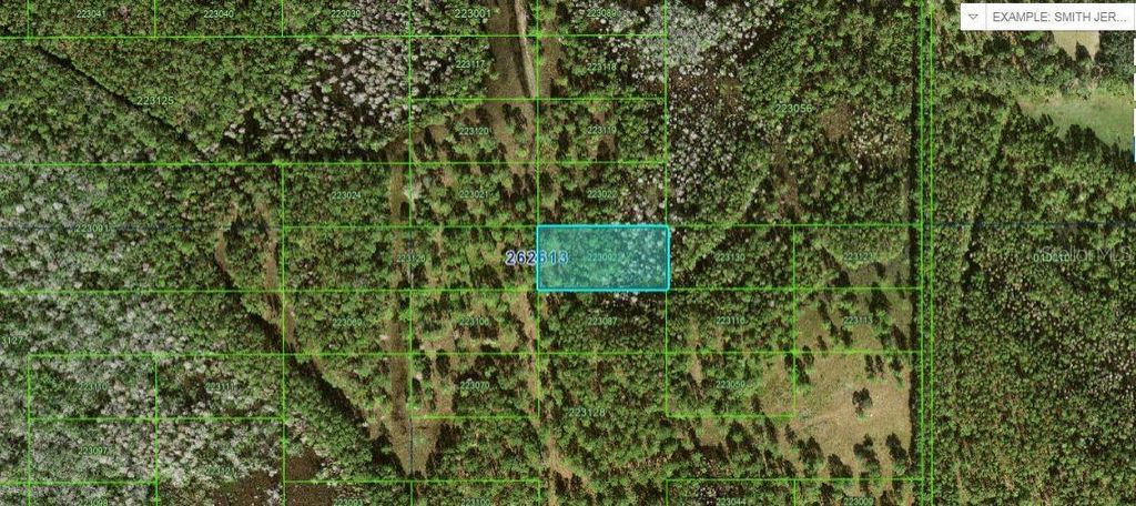 Photo of N/A, Polk City, FL 33868 (MLS # O6228323)