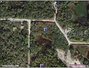 Photo of 0 Riverstone St #Hernando, Webster, FL 33597 (MLS # TB8557074)