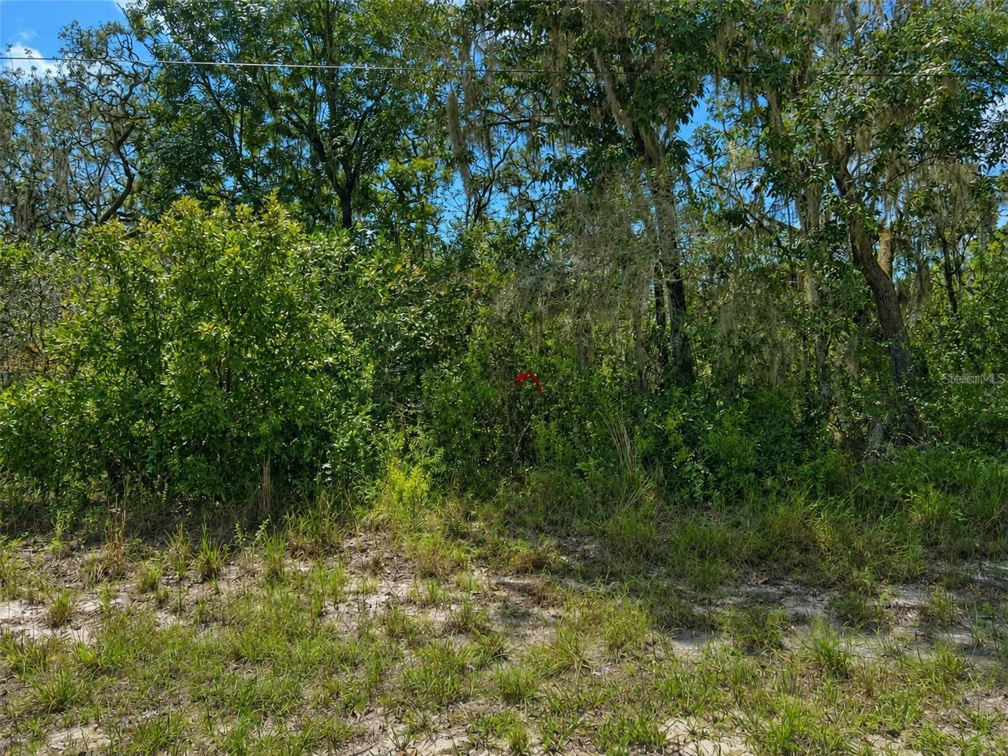 0 RIVERSTONE ST Hernando