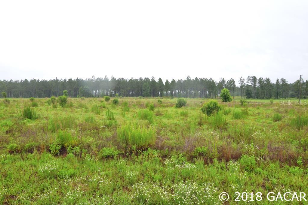 Located 6 miles north of Ft. White and 11 miles south of Lake City, this 5 acre parcel is in Ancient Oaks S/D on a paved dead end street. Cleared, there are minimal site preparation costs. Manufactured or site-built 1200 square foot minimum. The lot is back toward the cul-de-sac on the left on SW Morning Star Glen off SR 47 not far south of Columbia City. Open Builder.