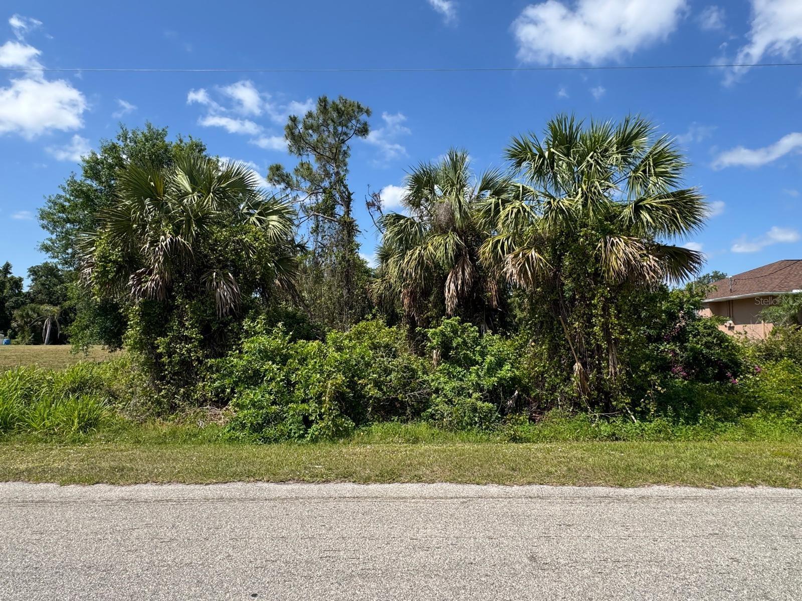 Two residential lots available on the same street—perfect for building your dream home or an excellent investment opportunity. Ask me for the other lot information. NO HOA, NO CDD.
Whether you're a homebuyer looking to design your own space or an investor planning to build on both lots, this is a rare chance to secure prime land in a growing area. Don't miss out!