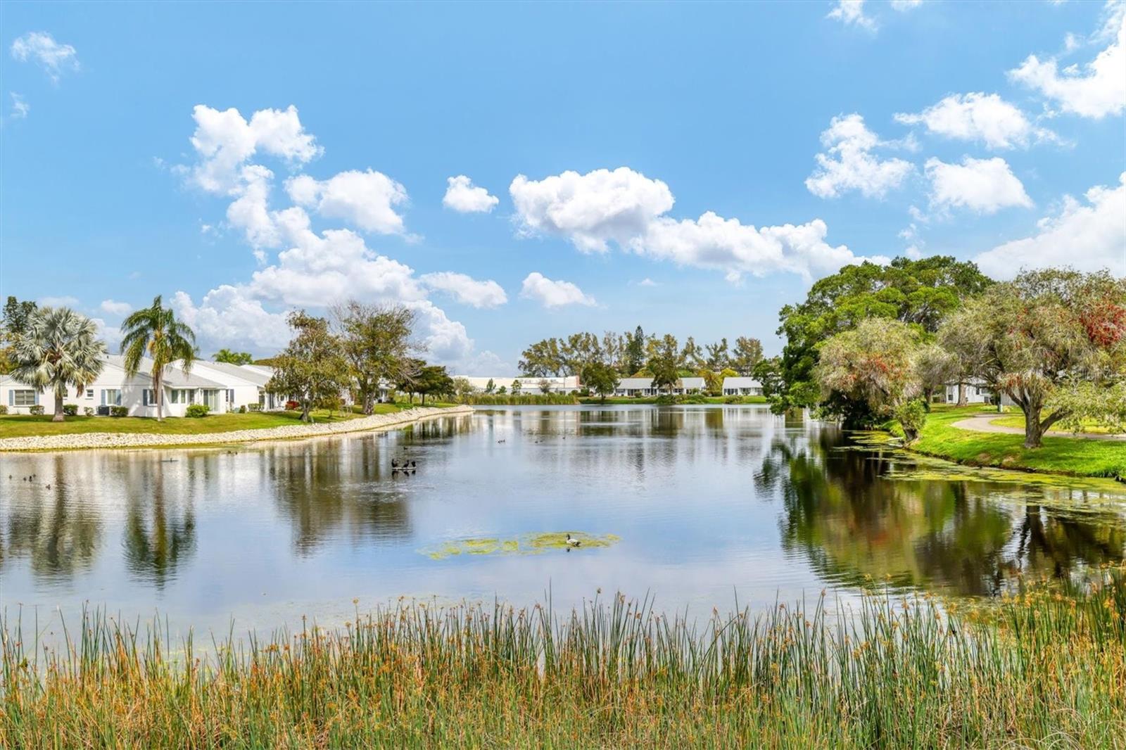 MOUNT VERNON PH 3 - Residential