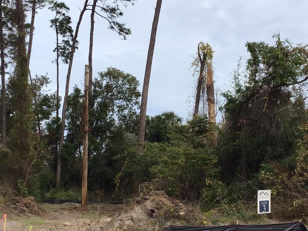 Photo of 1299 Almaria Court, Palm Harbor, FL 34683 (MLS # U8238018)