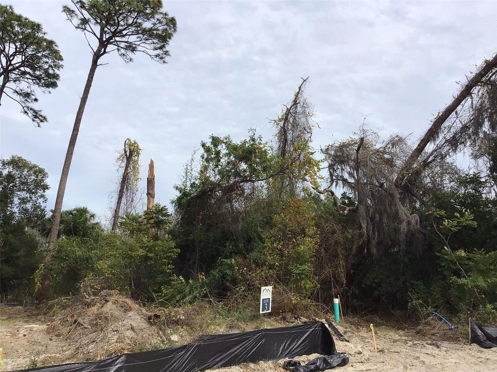 Photo of 1299 Almaria Court, Palm Harbor, FL 34683 (MLS # U8238018)