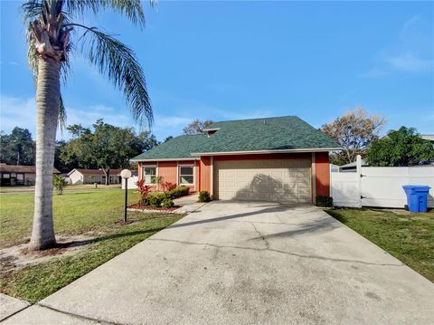 A home in BRANDON