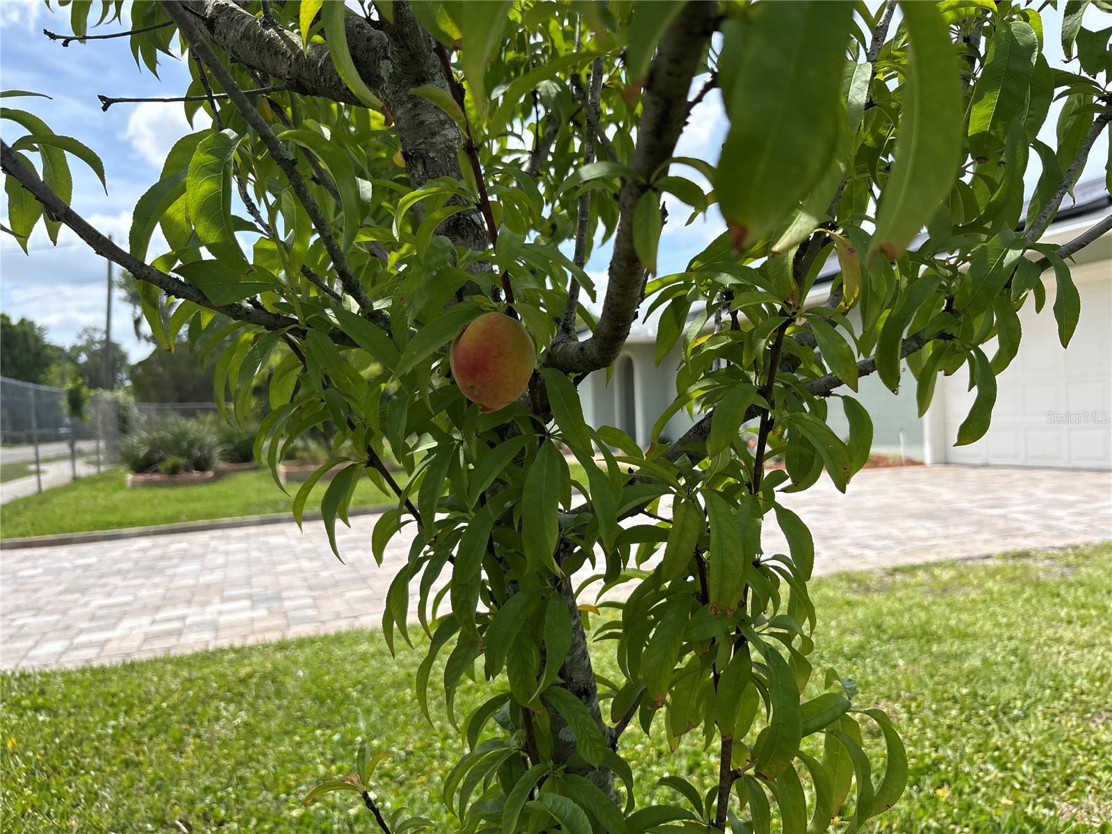 SINCLAIR PARK - Residential