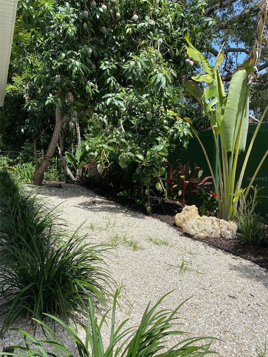 HYDE PARK TERRACE - Residential Lease