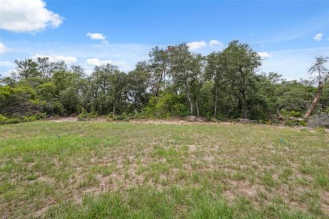 Tiny photo for 16904 SW 30th Avenue Road, Ocala, FL 34473 (MLS # O6395728)