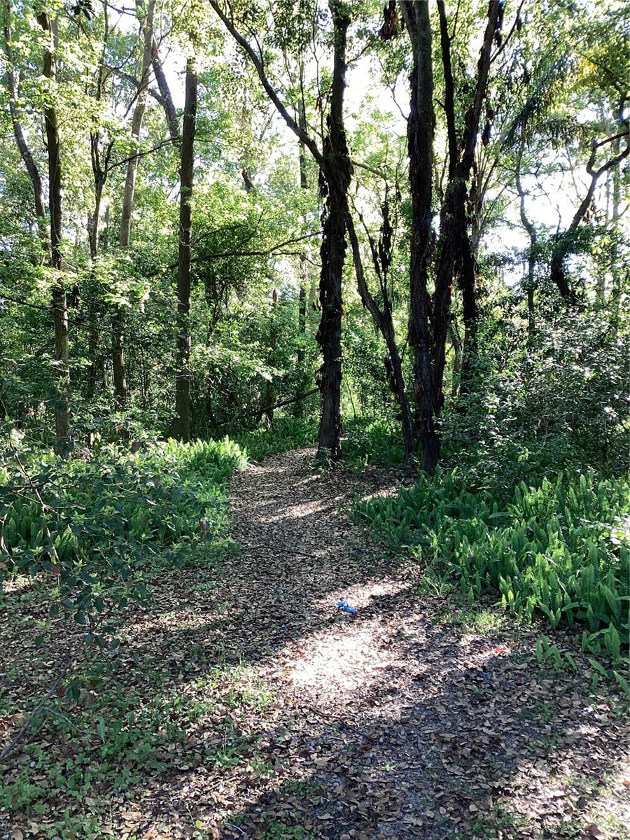 PLYMOUTH LANDING PH 01 - Residential