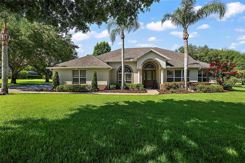 A home in MOUNT DORA