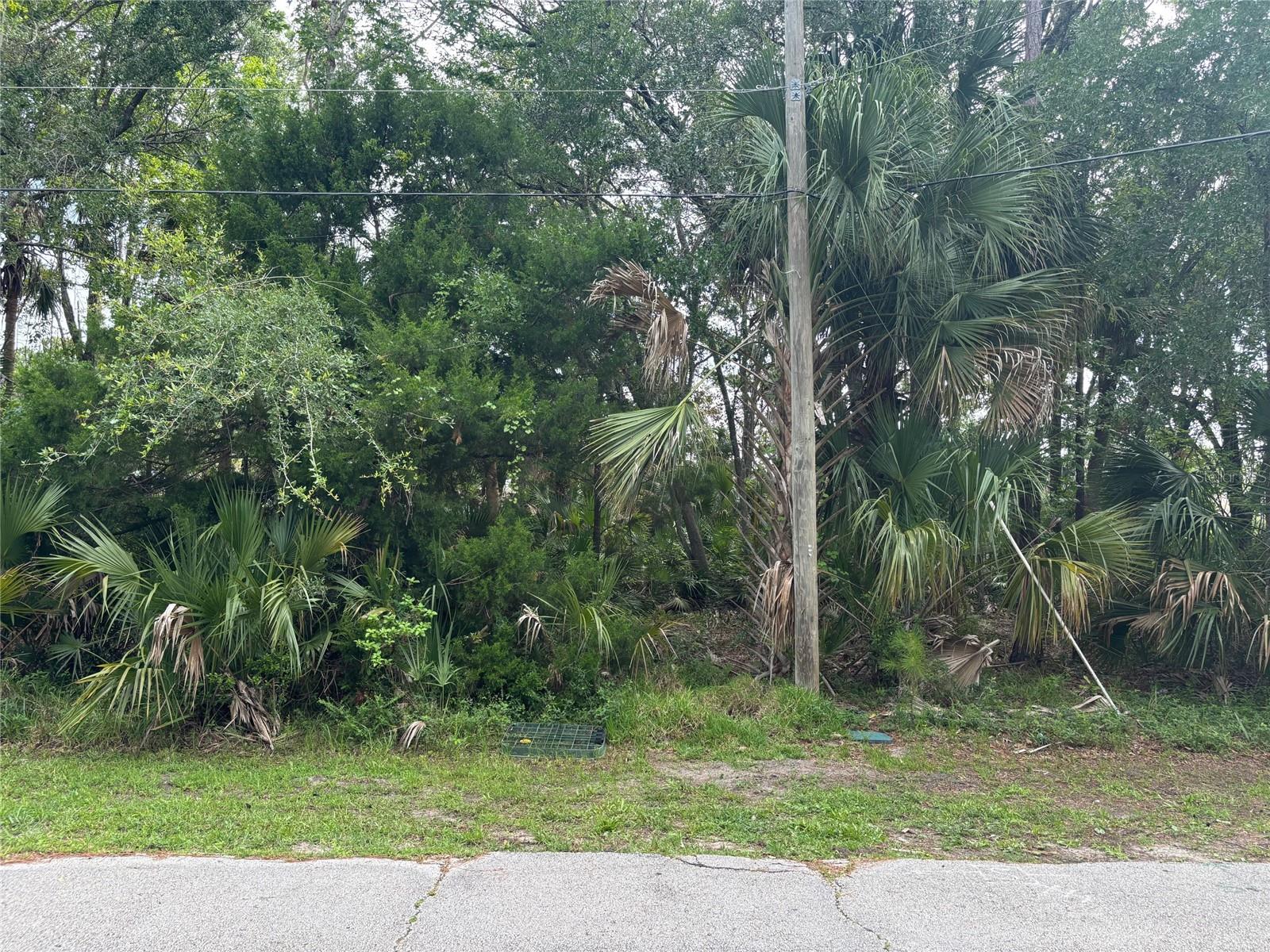 39 POPLAR DRIVE