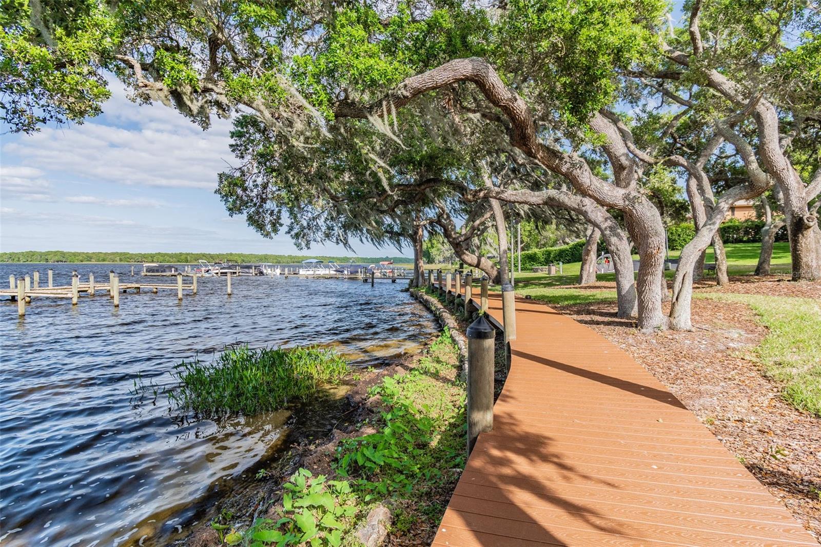 PINNACLE AT COBBS LANDING - Residential