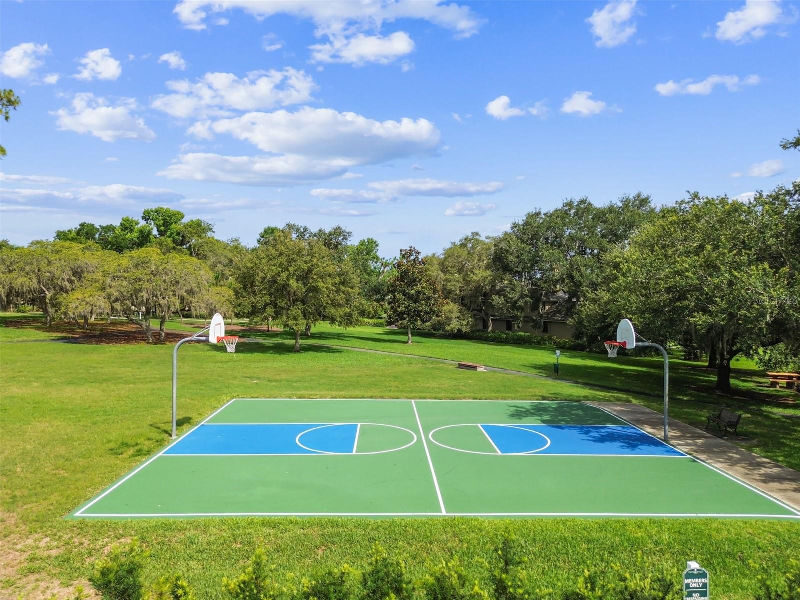 PINNACLE AT COBBS LANDING - Residential