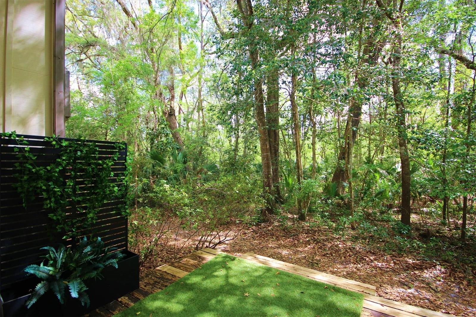 CYPRESS POINTE PH 2 - Residential