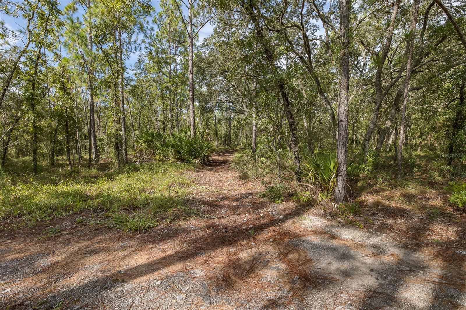 COUNTRY HAVEN ESTATES - Residential