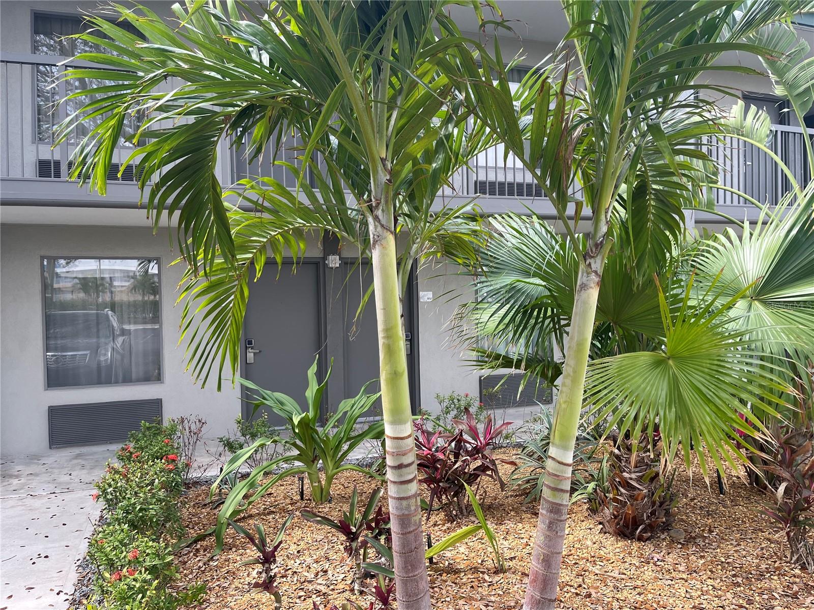 7150 N TAMIAMI TRAIL S512