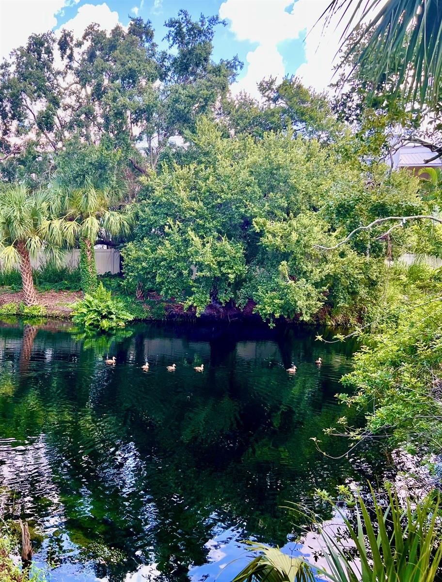 SUNRIDGE - Residential