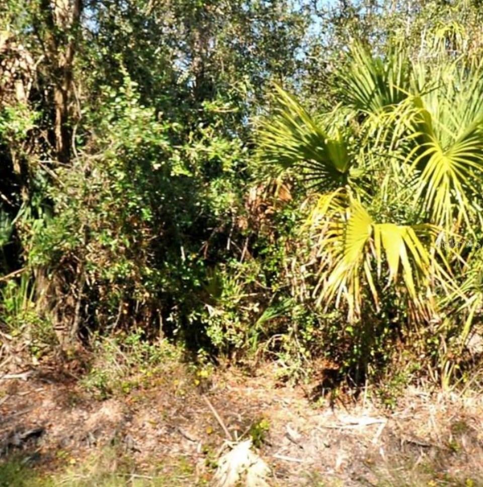 PORT CHARLOTTE SUB 25 - Land