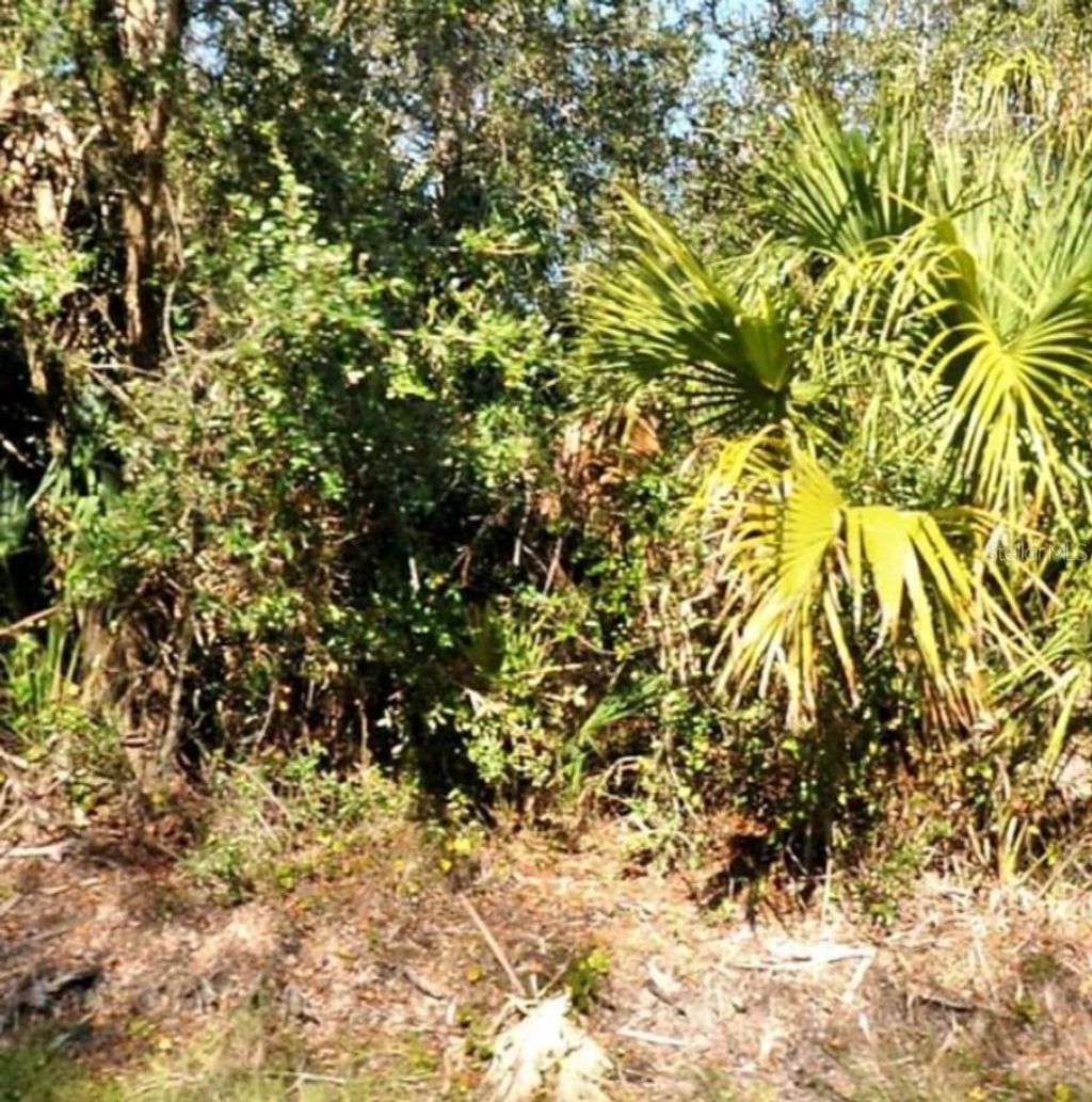 Photo of 13 Snug Street, North Port, FL 34286 (MLS # OM711007)