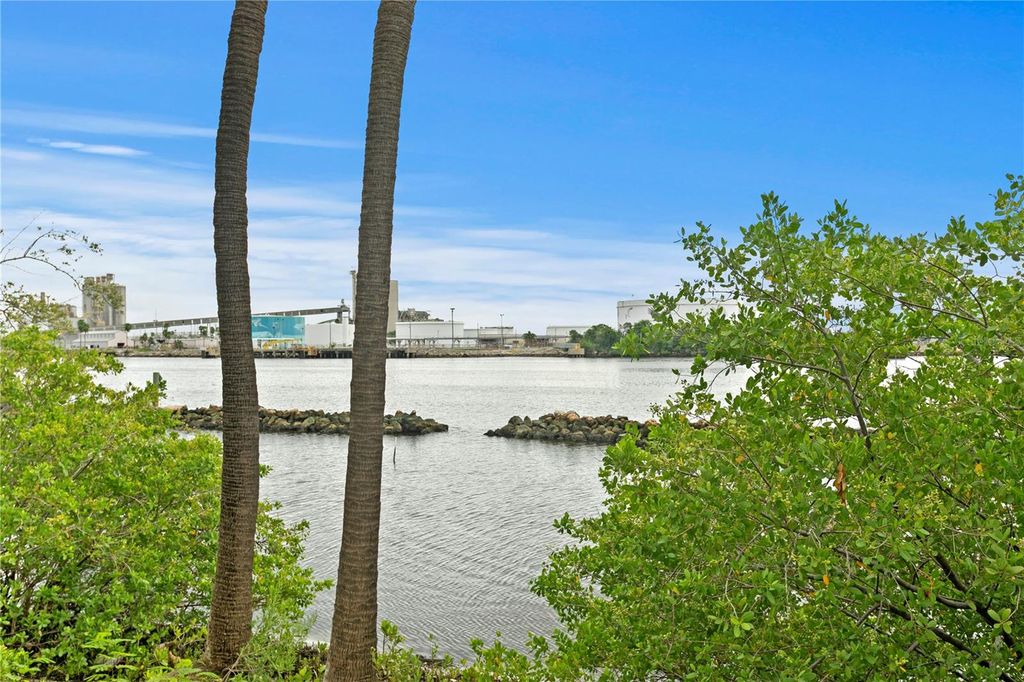 Photo of 928 Hemingway Circle, Tampa, FL 33602 (MLS # TB8421415)