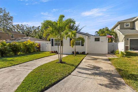 A home in TAMPA