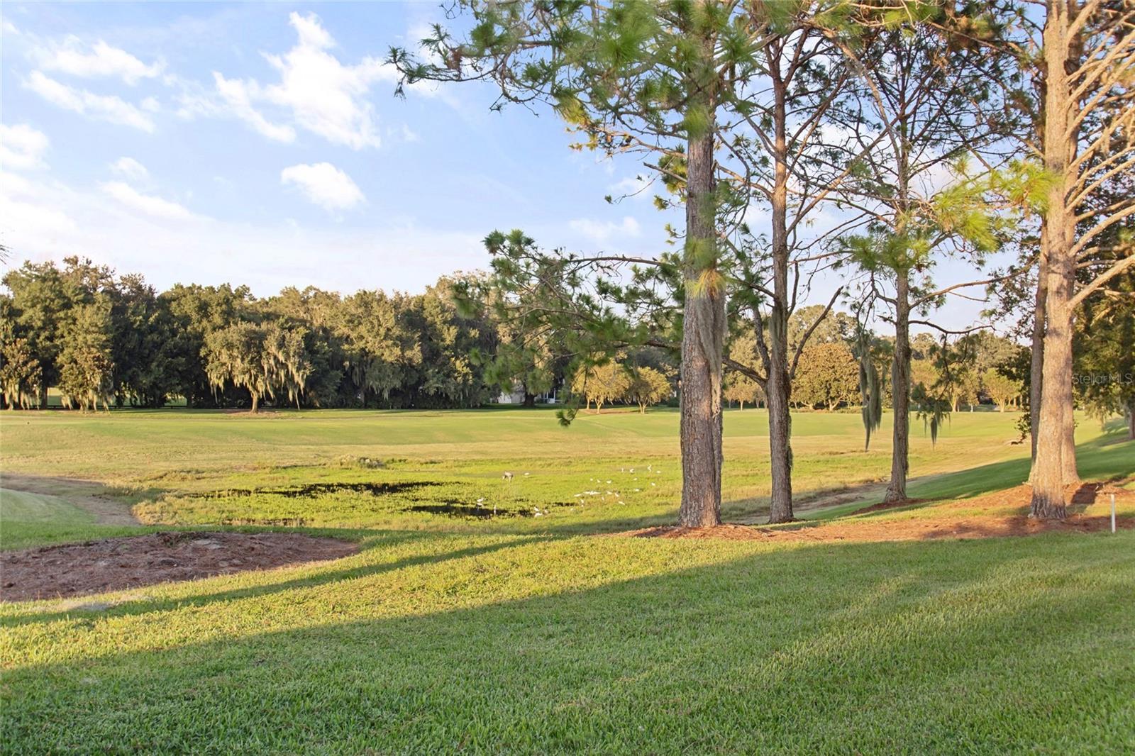 VILLAGES OF SUMTER - Residential