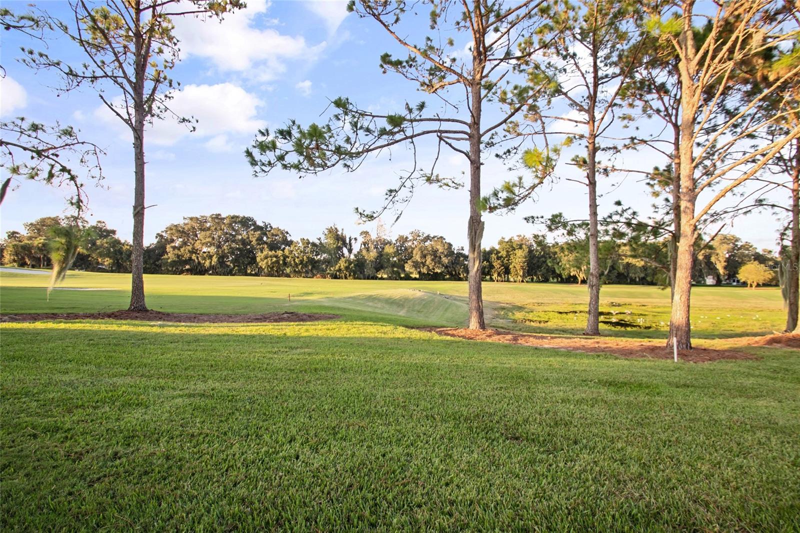 VILLAGES OF SUMTER - Residential